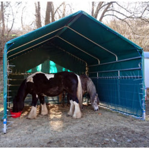 Abris XL 4x4m Complet avec filet brise vent