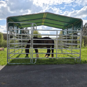 Abri - Grande Hauteur + Porte