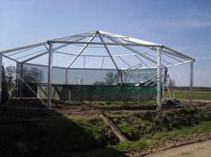 Cavaliers de Chantalouette 03470 COULANGES 020