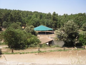 14.7.2010 025