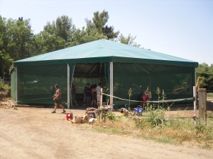14.7.2010 030