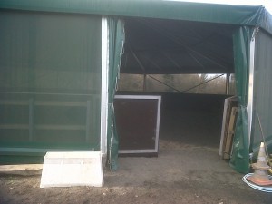 IMG00191-20110127-1551