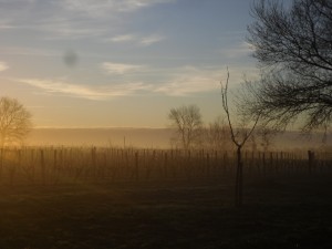 Chateau Panon 018