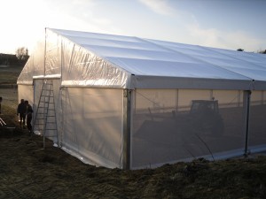 MARS 2010 019
