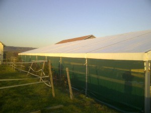 IMG-20131211-00386