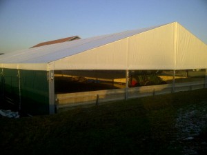 IMG-20131211-00387