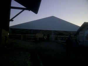 IMG-20131211-00390