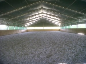 IMG00401-20110618-1827
