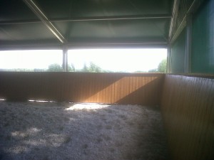 IMG00403-20110618-1828 (1)
