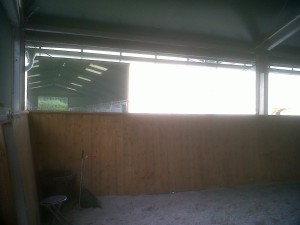 IMG00453-20110804-1221
