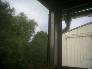 IMG00454-20110804-1222 (1)