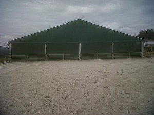 IMG00461-20110804-1312