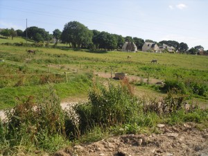 mai 2011 085